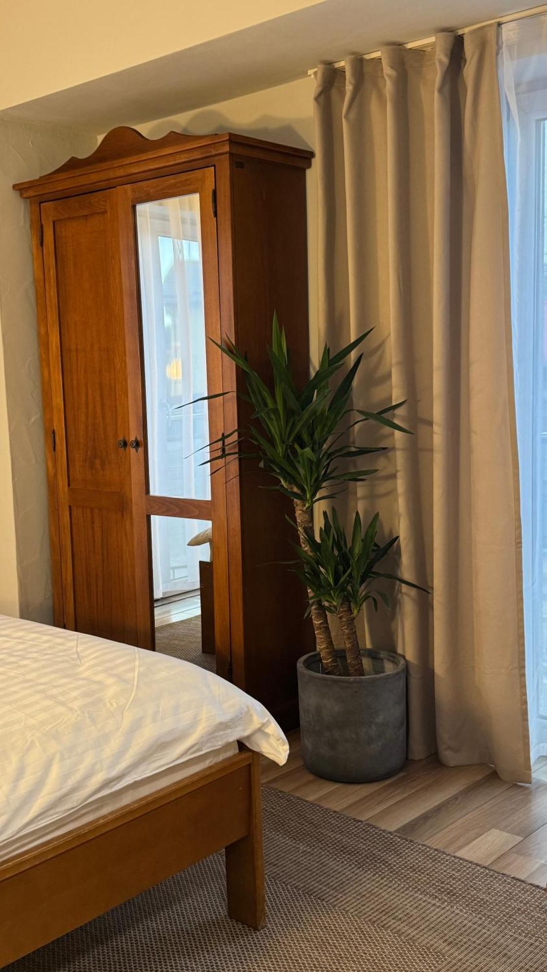 Hotel Lucy Star Cluj-Napoca Buitenkant foto